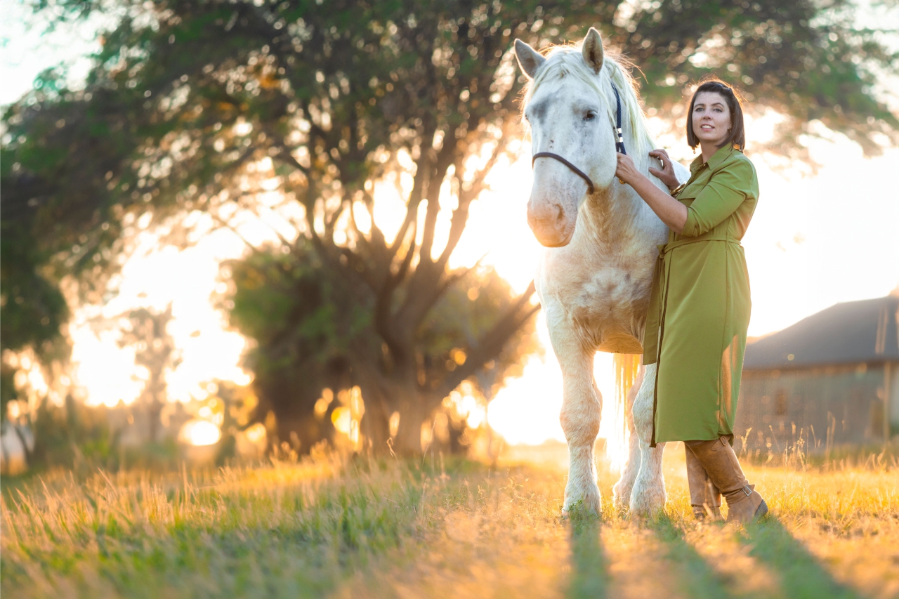 Bonkige Bosmar Percheron front