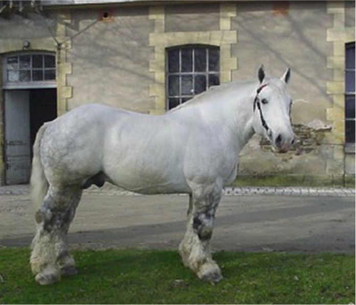 Isidore_sire_mbeki 2