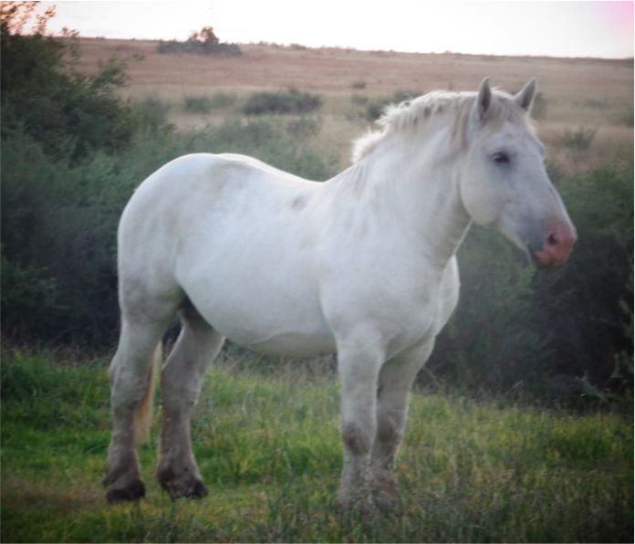 Isidore_sire_mbeki 3